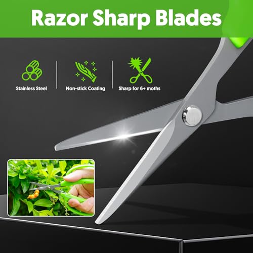 Garden Scissors, 2 PCS, Curved Blade, 6-in, Non-Stick Coated Steel, Sharp - style: Curved Blade