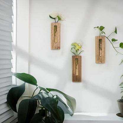 Wood Wall Vase with Glass Tube for Plant Propagation - color: Natural