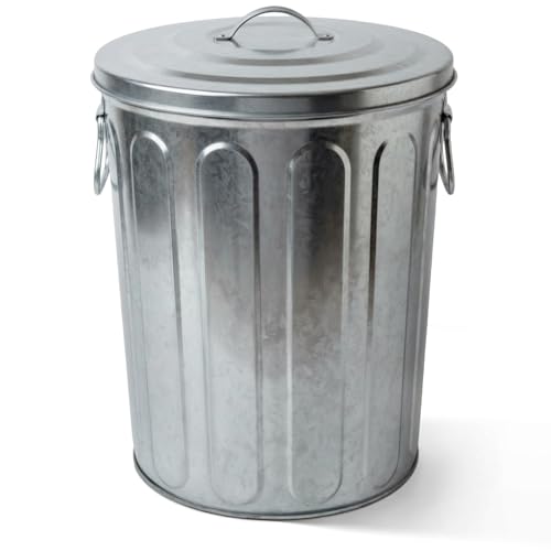 Plexon 5 Gallon Small Metal Trash Can with Lid Outdoor Galvanized Bucket with Lid 5 Gal Fireplace Ash Bucket for Wood Stove Storage Can for Dog Food Bird Seed Storage Container - color: Silver