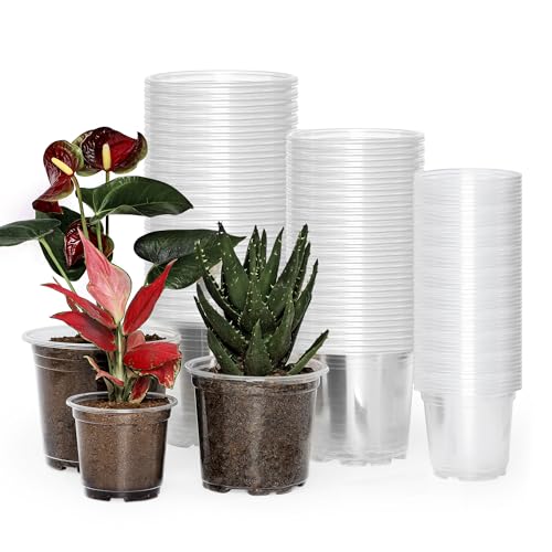 JERIA 60 Pack 6/5/4Inch Clear Nursery Pots with Drainage Holes, Clear Plant Pot for Planting, Transparent Plastic Plant Pots,Durable Seed Starting Pot for Succulents - size: 4/5/6Inch-60Pack