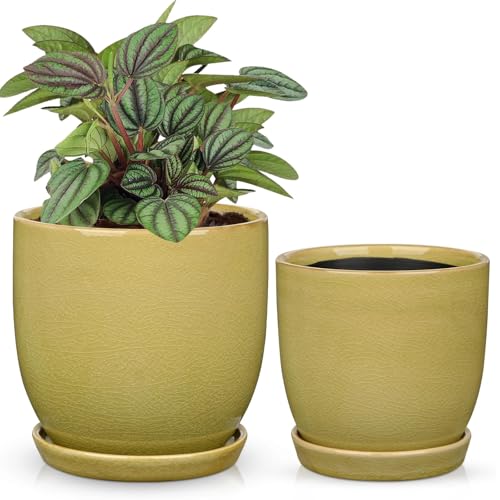 GnFlus Ceramic Plant Pots 5 Inch + 4 Inch Set of 2, Flower Plants Pot with Drainage Holes and Saucers Tray Planter Garden Pot for Succulent Cactus Home Decoration Gift Indoor Outdoor Green - color: Green