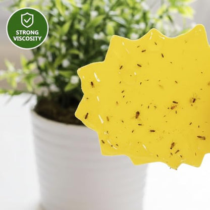 40-Pack Yellow Sticky Fruit Fly Traps for Indoor and Outdoor Plants – Sun-Shaped Fungus Gnat Killer – Non-Toxic, Waterproof, Dual-Sided Adhesive Soil Insert Traps for Potted Plants and Gardens