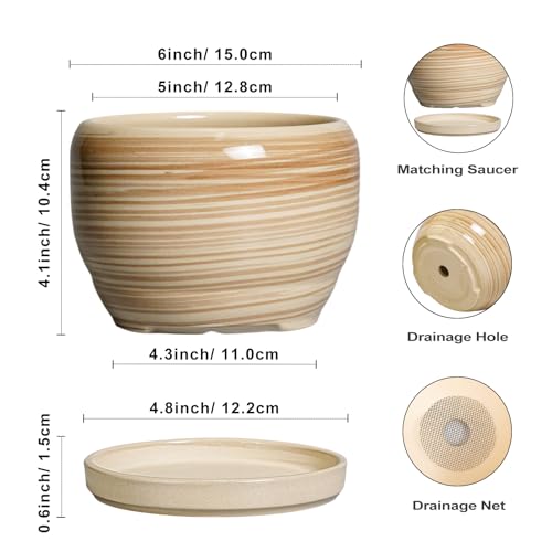 SQOWL Ceramic Pot for Plants - 6 Inch Indoor Planter with Drainage Hole and Tray, Round Modern Flower Pot Outdoor, Decorative Succulent Planter, Kitchen Decor, Gifts for Plant Lovers, Yellow - color: Glossy Yellow, size: 6 Inch
