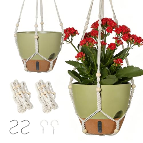 Self-Watering Hanging Planters for Indoor Plants Set 2-Piece Includes Plant Hanging Pot, Drainage-Hole Hanging Pot, and Hanging Basket Rack (10 Inches, Green) - color: Green