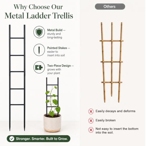 2PCS Indoor Plant Trellis, Sturdy Ladder Trellis for House Plant