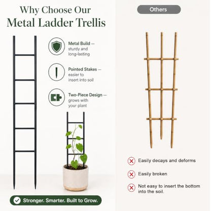 2PCS Indoor Plant Trellis, Sturdy Ladder Trellis for House Plant