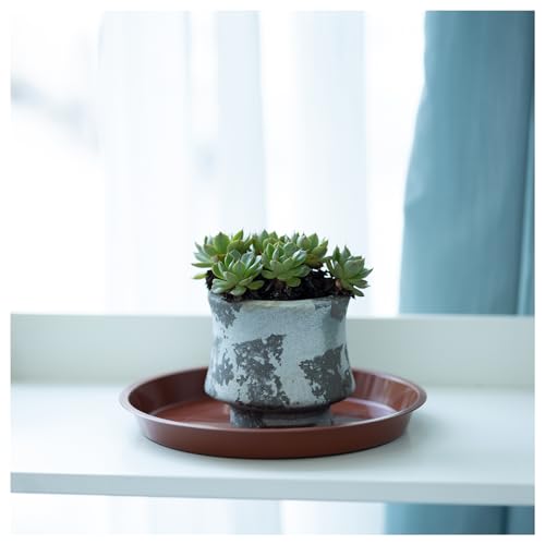 6 Pack 8 Inch Terracotta Plant Saucers Plastic Drip Trays for Pots - color: Terracotta, size: 8 Inch