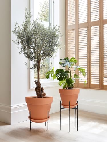 INGOFIN Terracotta Pot with Saucer 10&12 Inch - Ceramic Clay Pot for Plants with Drainage Hole, Large Terra Cotta Flower Planter with Tray for Indoor Outdoor Plants - size: 10/12 inch -2 pcs