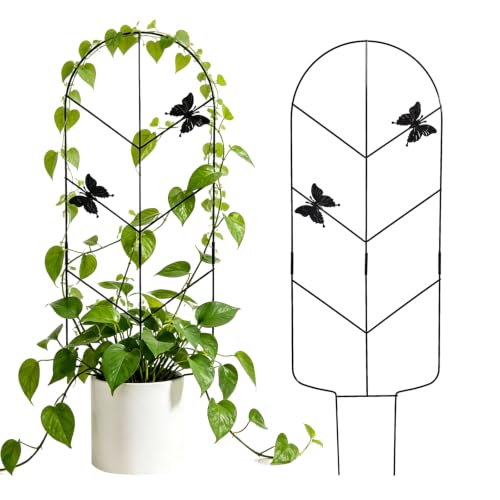 2 Pack 31 Inch Trellis for Climbing Plants Indoor, Rustproof Garden Metal Trellis for Potted Plants Outdoor, Sturdy and Durable Plant Support for Climbing Plants Such as Ivy, Monstera and Pothos - size: 31in