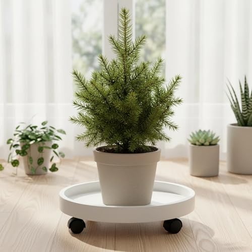Plastic Plant Caddy, Wheeled Base Tray for Indoor Outdoor Flowerpot