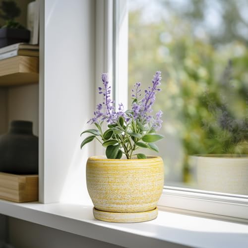 SQOWL Ceramic Planter - 6 Inch Plant Pot Indoor with Drainage Hole and Saucer, Decorative Ceramic Flower Pot Outdoor, Round Succulent Planters, Home Office Bedroom Decor, Birthday Gifts, Yellow - color: Brushed Yellow, size: 6 Inch