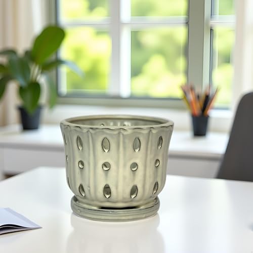 Ceramic Orchid Pot With Attached Saucer and Drainage Hole 6'' (Cream) - color: Cream