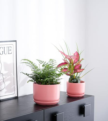 Ceramic Plant Pots,Planters with Drainage Hole&Saucer 3 Pack(Matte Orange) - color: Matte Orange