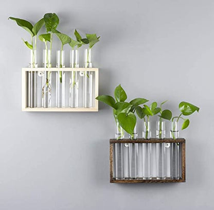 Wall Mounted Hanging Glass Test Tube Planter Propagation Station Glass Vase Rack with Wood Stand, Plant Terrarium Holder for Hydroponics Succulent Air Bamboo Plants with Test Tube
