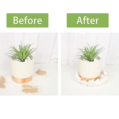 Plant Saucer 6 Pack of 12 inch,Drip Tray, Heavy-Duty Flower Pot Trays, Plant Pot Saucers 12" - color: Clear, size: 12"(6Pack)