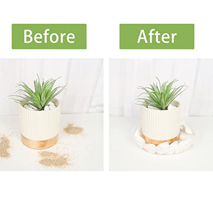 Plant Saucer 6 Pack of 12 inch,Drip Tray, Heavy-Duty Flower Pot Trays, Plant Pot Saucers 12" - color: Clear, size: 12"(6Pack)