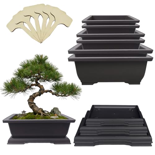 MUZHI 6Pack Plastic Bonsai Pot with Drainage Drip Tray, Retro Style Rectangle Garden Plant Pots Bonsai Planters Nursery Pots Maceta Cuadrada with Tray (2pcs 9"+2pcs 7.5"+2pcs 6.5") - size: 2pcs 9"+2pcs 7.5"+2pcs 6.5"