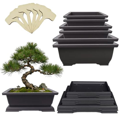 MUZHI 6Pack Plastic Bonsai Pot with Drainage Drip Tray, Retro Style Rectangle Garden Plant Pots Bonsai Planters Nursery Pots Maceta Cuadrada with Tray (2pcs 9"+2pcs 7.5"+2pcs 6.5") - size: 2pcs 9"+2pcs 7.5"+2pcs 6.5"