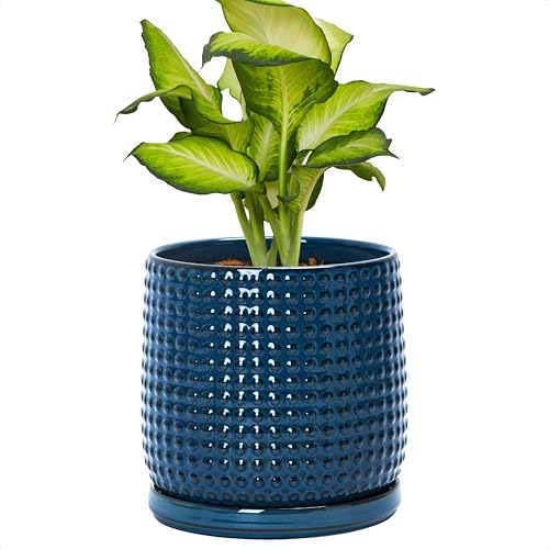 D'vine Dev Beaded Ceramic Pot with Saucer, 6 in, Midnight Blue, 27-C-X-3 - color: Midnight Blue, size: 5.8 Inch