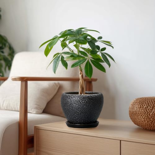 Ceramic Planter 6 Inch, Ceramic Plant Pots Indoor, Black - color: Black, size: 6 Inch