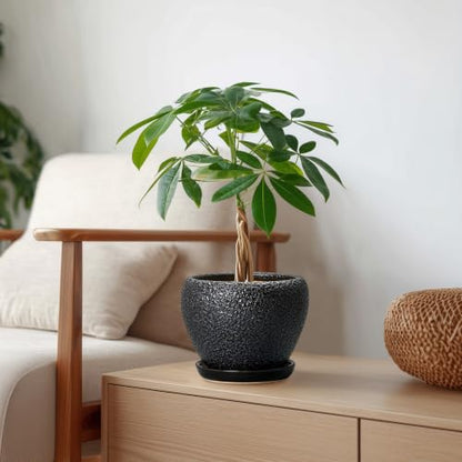 Ceramic Planter 6 Inch, Ceramic Plant Pots Indoor, Black - color: Black, size: 6 Inch