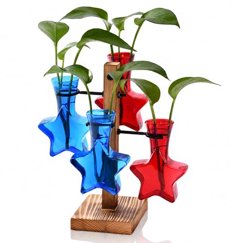 Nacome Plant Terrarium Propagation Station: Red Blue Vase with Wooden Stand - color: Red Blue