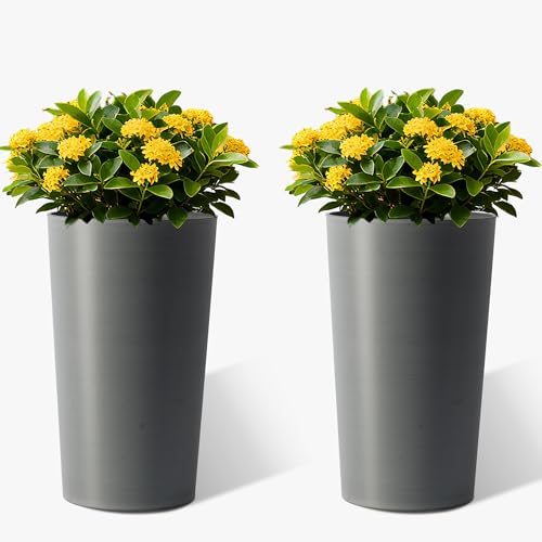 22 Inch Front Porch Planters Set of 2, Round Tall Planters for Outdoor Plants, Large Plant Pot with Brushed Finish for Front Door, Gray Tree Planter - color: Gray