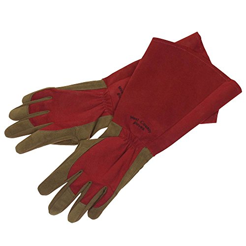 Thorn-proof Suede Gloves with Padded Palms and Reinforced Fingertips - size: X-Large
