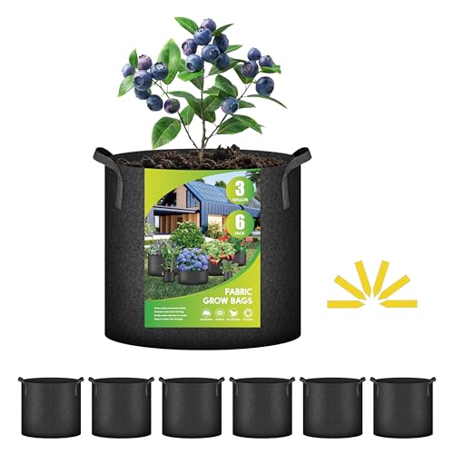 iPower Plant Grow Bag 3 Gallon 6-Pack Heavy Duty Fabric Pots, 300g Thick Nonwoven Fabric Containers Aeration with Nylon Handles, for Planting Vegetables, Fruits, Flowers, Black 2024 Version - color: Black, size: 6pack