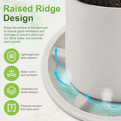 M METERXITY 2-Pack Plant Saucers, 6 Inch OD Anti-Rot Root Resin Flower Pot Plant Saucers for Indoor/Outdoor, Flowerpot Drip Tray [4.7 Inch ID, Light Gray] - color: Light Gray, size: 6 Inch OD