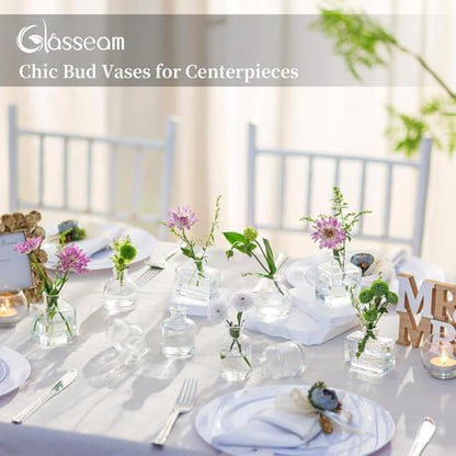 Glasseam Small Vases for Flowers, Clear Mini Glass Bud Vases Set of 5 - color: Clear, size: 5Pcs- Mini Vases