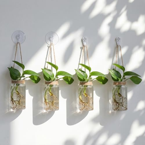 Baderke 9 Set Window Hanging Propagation Stations 3.54'' Plastic Vases - style: Stylish