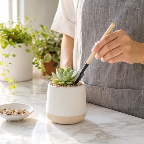 3Pcs Mini Gardening Tool Set with Wooden Handles Includes Small Hand Rake and Spade Ideal for Bonsai and Potted Plants Care