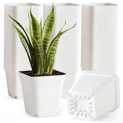 80 Pcs Nursery Pots 4 Inch, Plastic Seed Starting Pot with Drainage Holes, Small Sturdy Seedling pots for Planting, Succulents, Transplanting, Cuttings (White) - color: White, size: 4 Inch-80P