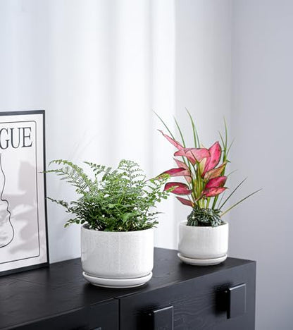 Ceramic Planters,Plant Pots with Saucers Set of 3(Reactive Glaze White) - color: Speck