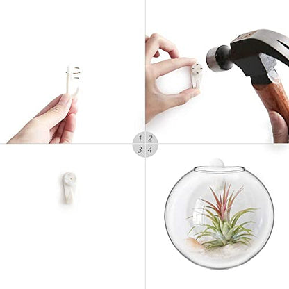 Mkono Wall Propagation Planters, 4 Pack Oblate Hanging Plant Holder Vase