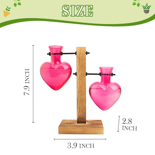 XXXFLOWER Plant Propagation Station Terrarium 2 Pink Heart Shaped Vase - color: Pink