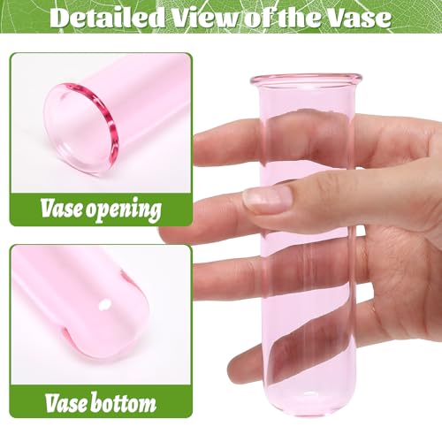 Glass Plant Propagation Station with 5 Test Tubes Colorful Planter Vase - color: Pink
