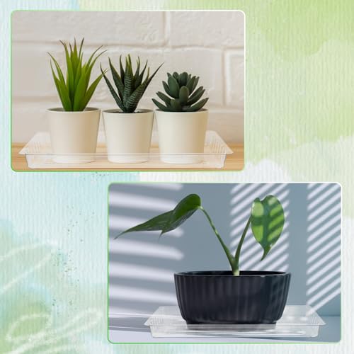 SiliFine 20 Pcs Clear Plastic Plant Saucer Rectangular Plant Drip Trays