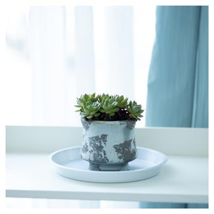 6 Pack 8 Inch White Plant Saucers Plastic Drip Trays for Pots - color: White, size: 8 Inch