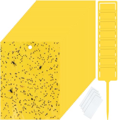 Qualirey 200 Pcs 6 x 8 in Yellow Sticky Traps for Gnats Plant Insect Trap - color: Yellow