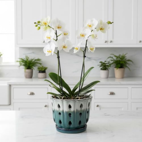 Ceramic Orchid Pot with Holes 6'' Orchid Planter (cream over turquoise) - color: Cream Over Turquoise