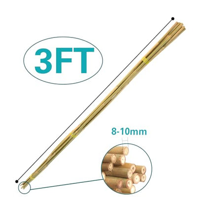 Bamboo Stakes 3FT 30pcs, 36 inch Garden Stakes Multi-Purpose, Bamboo Plant Support Stakes for Tomatoes, Beans, Peppers, Flowers, Potted, Maintain the Plant Posture, Strengthen and Stem - size: 3FT,Pack of 30