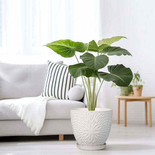 G EPGardening 8 Inch Ceramic Plant Pot with Drainage Hole and Saucer, White