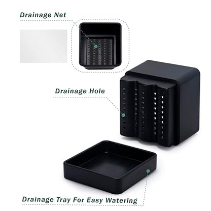D'vine Dev 2-Pack Plastic Herb Planter Pots, 6 in, Black, 76-Y-B2-2 - color: Black, size: 12 Inch x 6.5 Inch