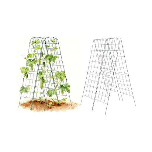 Vego Garden A-Frame Trellis Cucumber Cage for Garden & Pots, Rust-Resistant Tomato Stakes Heavy Gauge Plant Cage Trellis Support for Climbing Vegetables Plants 2 Pack - size: 63" Tall