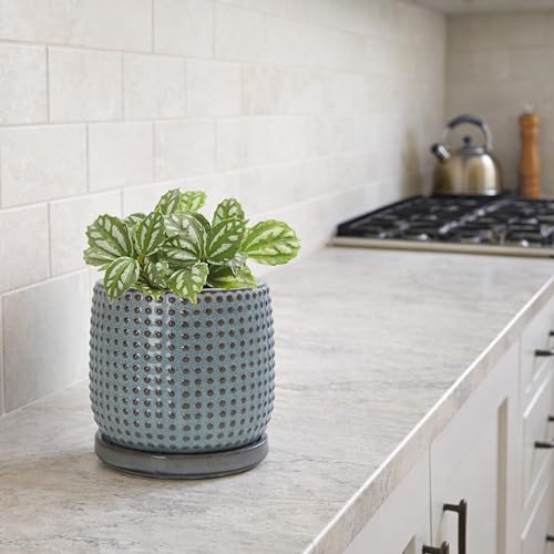 D'vine Dev Beaded Ceramic Pot with Saucer, 4 in, Graphite Blue, 27-C-Z-9 - color: Graphite Blue, size: 4.3 Inch