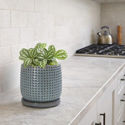 D'vine Dev Beaded Ceramic Pot with Saucer, 4 in, Graphite Blue, 27-C-Z-9 - color: Graphite Blue, size: 4.3 Inch