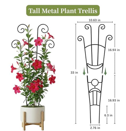 2 Pack 33 inch Plant Trellis for Climbing Plants Outdoor/Indoor, Expandable Large Metal Garden Trellis for Climber Plants, Sturdy Houseplant Support Stakes for Potted Vine Ivy Pothos Monstera - size: 33in/2Pack,Style 1