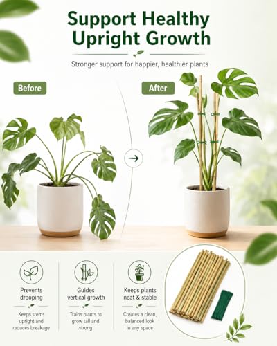 20 Pcs 16 inch Bamboo Garden Stakes with Ties Natural Bamboo Plant Stakes for Tomatoes (20pcs-16inch) - size: 20pcs-16inch
